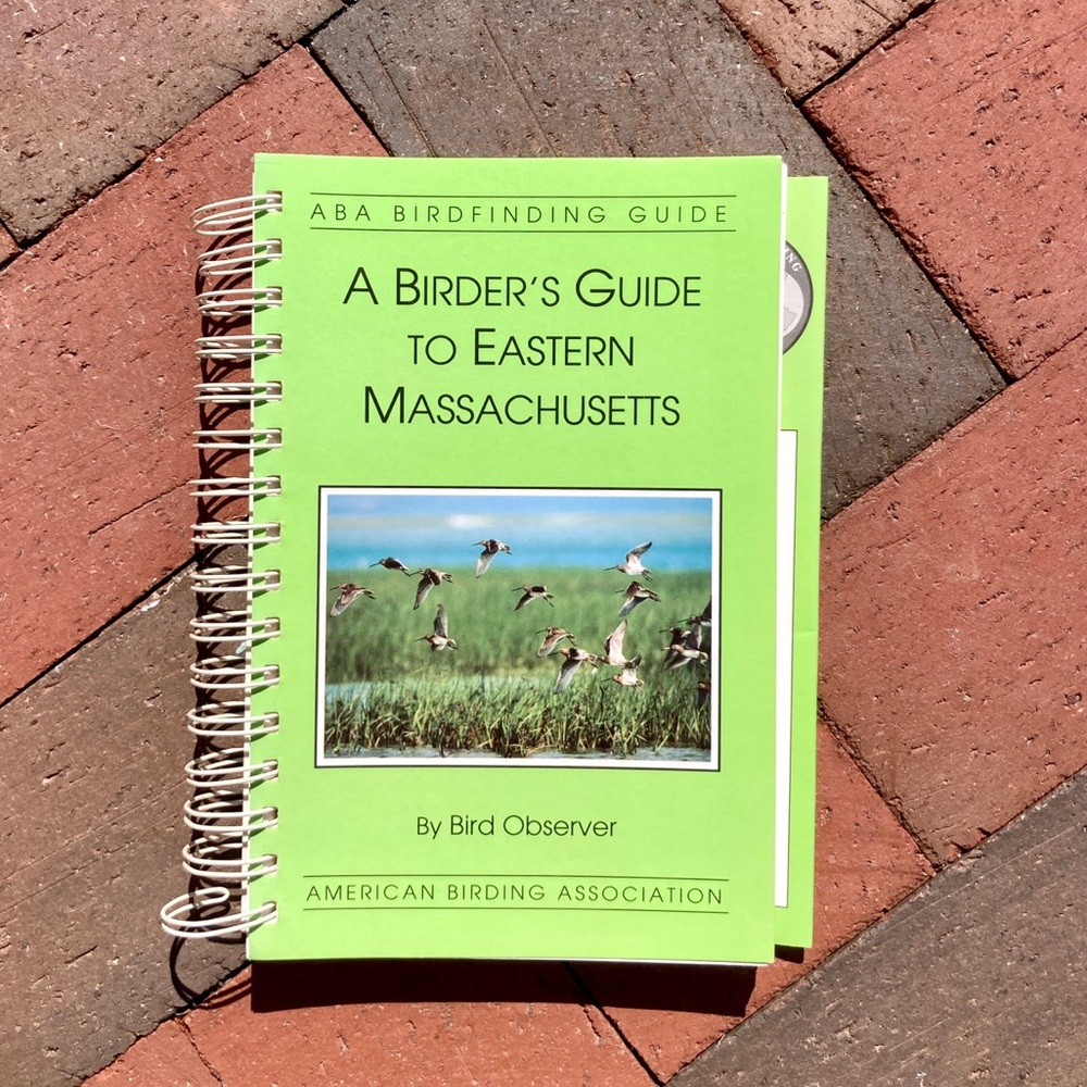 1st Edition A Birder's Guide to Eastern Massachusetts ABA Birding Plum Island MA